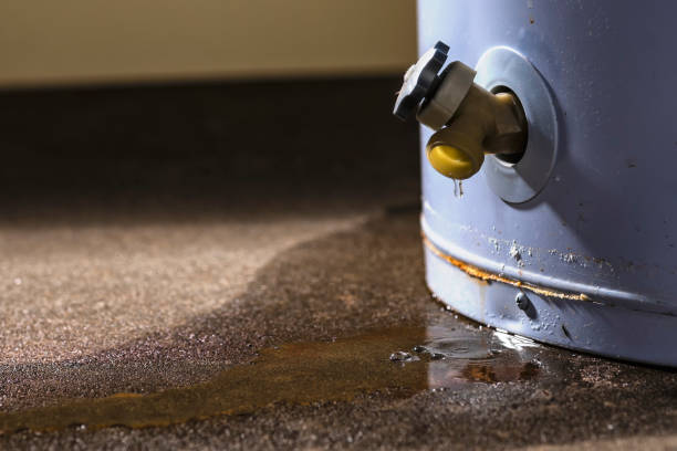 Best Emergency water damage restoration  in Wilmington, NC