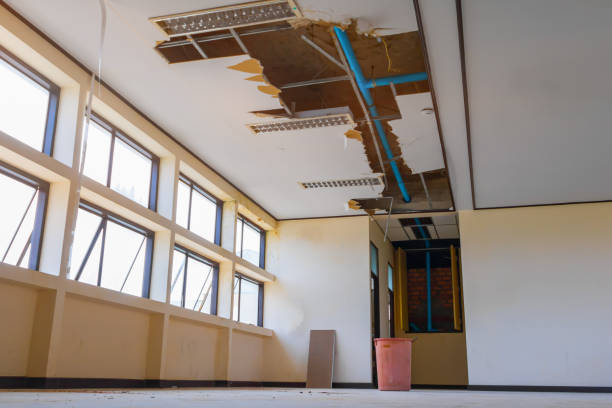 Best Flood restoration services  in Wilmington, NC