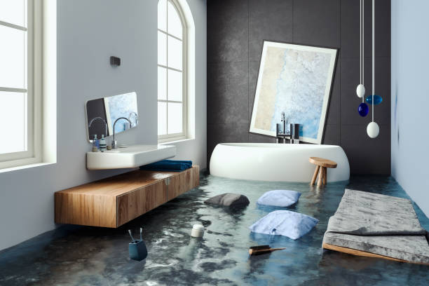 Best Mold removal after water damage  in Wilmington, NC