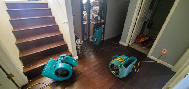 Best Water damage restoration near me  in Wilmington, NC