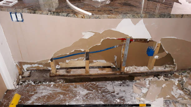 Best Sewage cleanup and water damage restoration  in Wilmington, NC