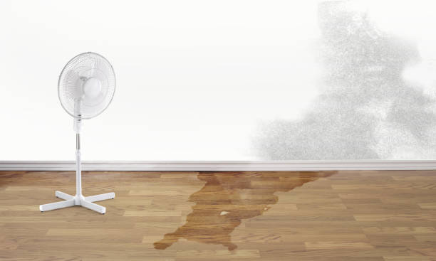 Best 24-hour water damage restoration  in Wilmington, NC