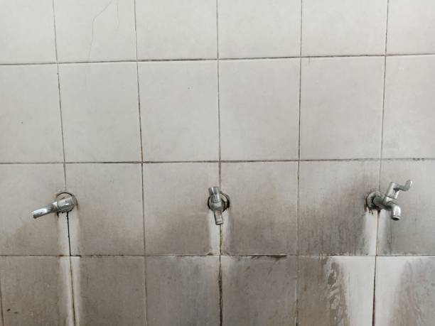 Best Fire Damage Restoration  in Wilmington, NC