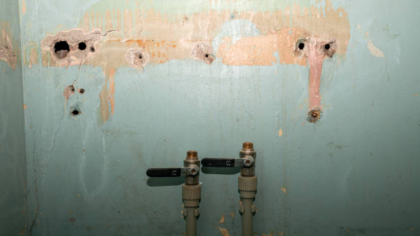 Best Flood restoration services  in Wilmington, NC