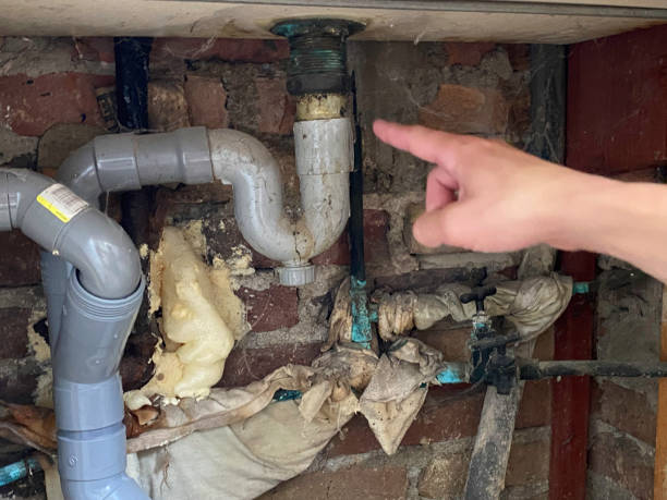 Best Water damage restoration process  in Wilmington, NC