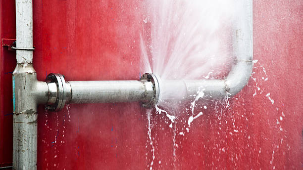 Best Ceiling water damage repair  in Wilmington, NC